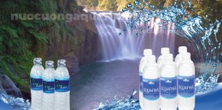 Nên chọn nước uống Aquafina hay Aqua World