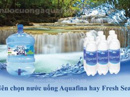 Nên chọn nước uống Aquafina hay Fresh Sea