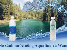 Nước uống Aquafina và nước uống Wami