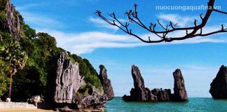 Top 5 đại lý giao nước Aquafina tại Kiên Giang