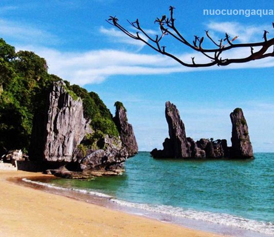 Top 5 đại lý giao nước Aquafina tại Kiên Giang