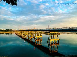 Top 5 đại lý nước Aquafina tại Quảng Ngãi