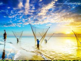 Top 5 đại lý nước Aquafina tại Trà Vinh