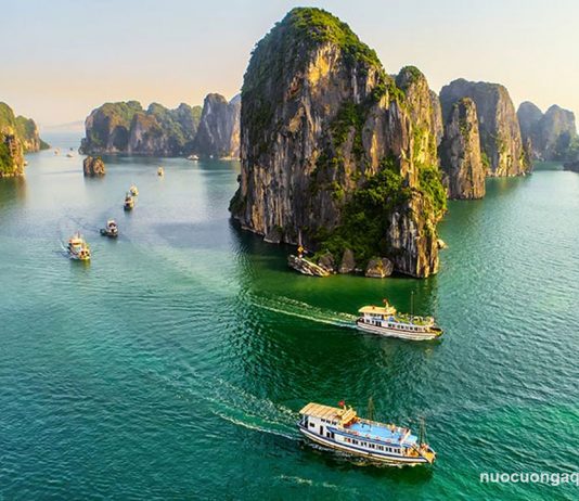 Top 5 đại lý nước Aquafina tại Quảng Ninh