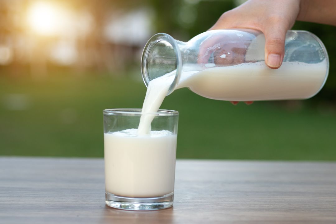 Sữa tươi luôn là nguồn dinh dưỡng tuyệt vời cho trẻ 